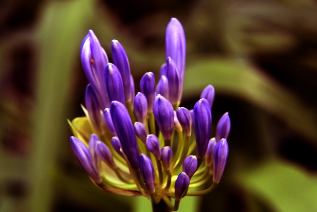 表現優異 表現優異