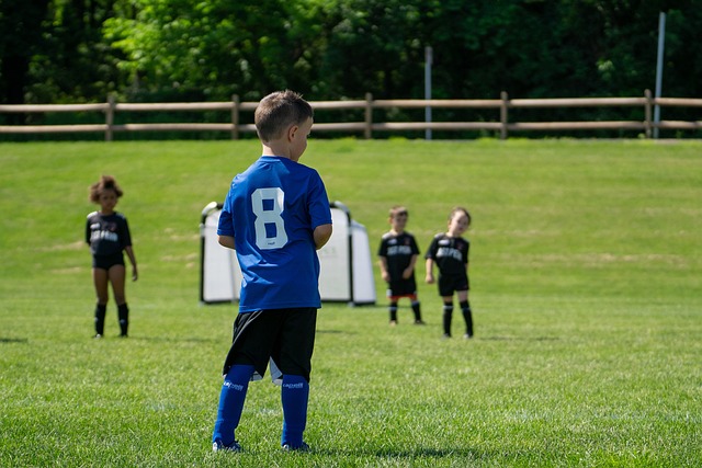 观众的惊呼 观众的惊呼