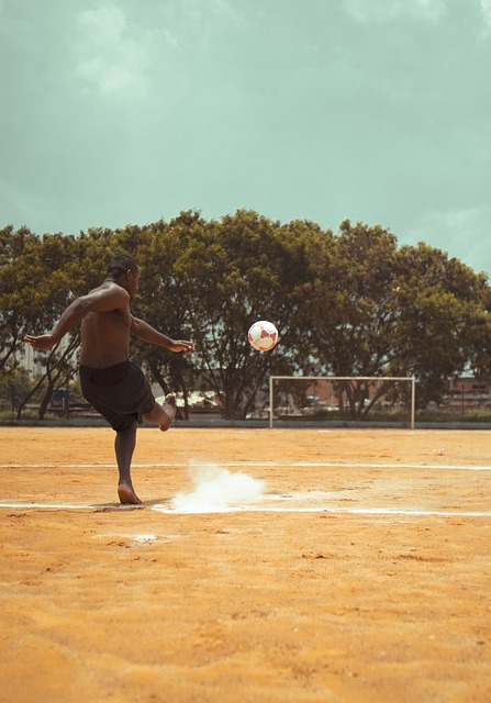 皮納佐拉 皮納佐拉