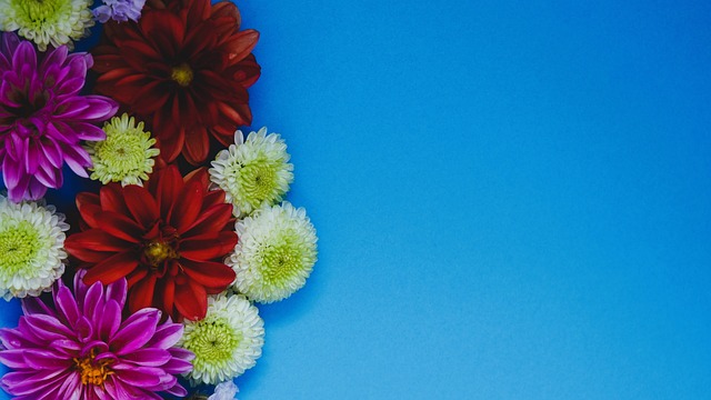 波尔津吉斯 波尔津吉斯