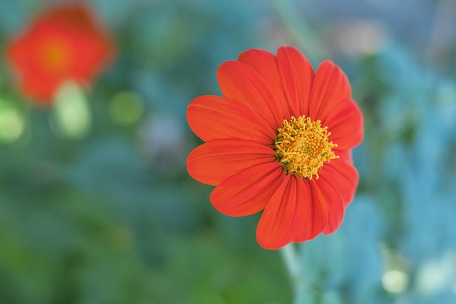 必将留下巨 必将留下巨