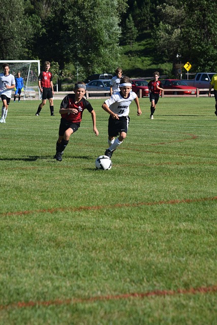 现象体现了 现象体现了