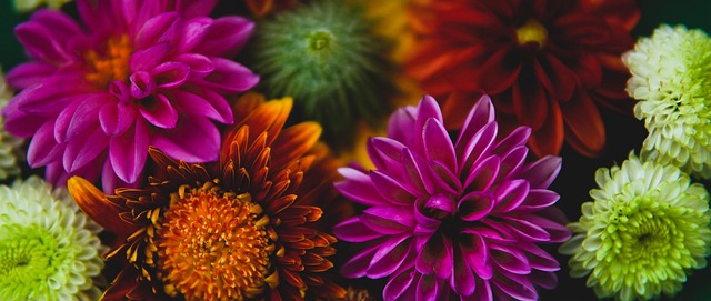 未来的训练 未来的训练