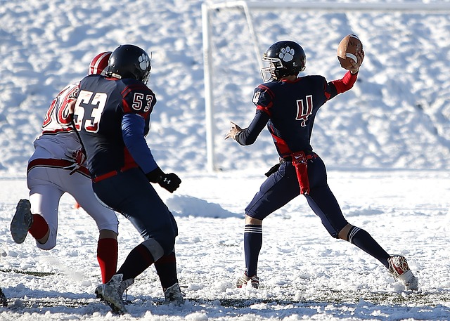 史蒂芬·A·史密斯严厉批评太阳队在与火箭队比赛中的平庸表现.