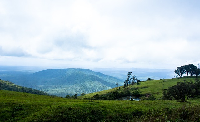 库里复出23+5三分！勇士横扫鹈鹕终结连败，巴特勒18+10小库16分.