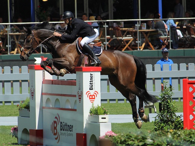 中超第3轮：功亏一篑，申花武磊河.