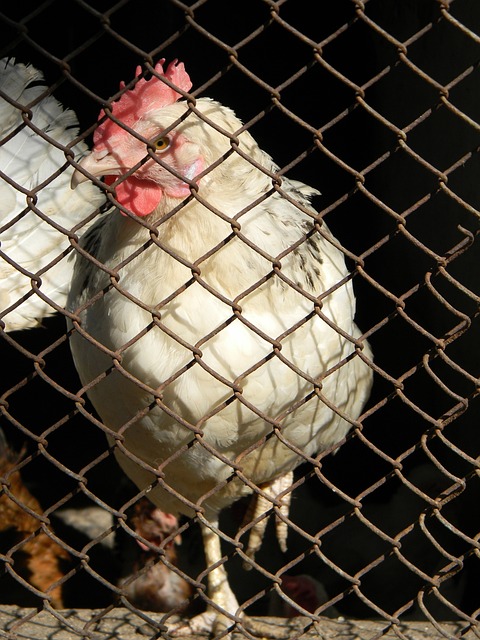 好的考验 好的考验