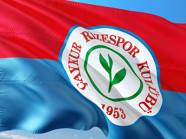 奠定了坚实 奠定了坚实